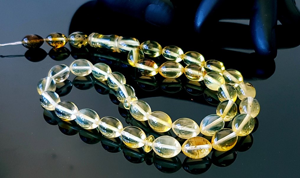 Bärnsten Baltic Amber Böneringar Rosary Tesbih Misbaha- 12 g #1.0