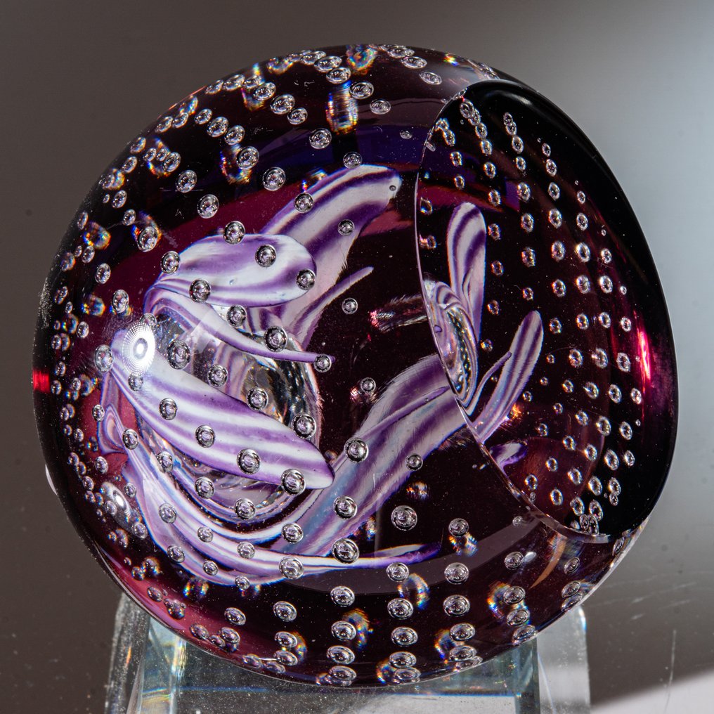 Caithness Glass - Stuart Cumming - 纸镇 - "Lilac Pool" (Ltd. Edition 1992) - Ø 7,8 cm - 玻璃 #1.0