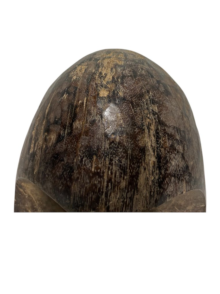 Gabón (Sin precio de reserva) #1.0