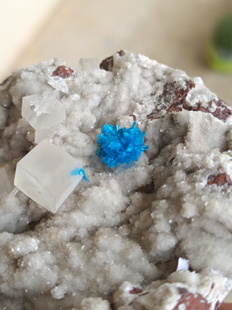 Υπέροχος cavansite με ασβεστίτη, το καλύτερο από τα καλύτερα. Κρύσταλλοι στη μήτρα - Ύψος: 9 cm - Πλάτος: 8 cm- 321 g - (1) #2.1