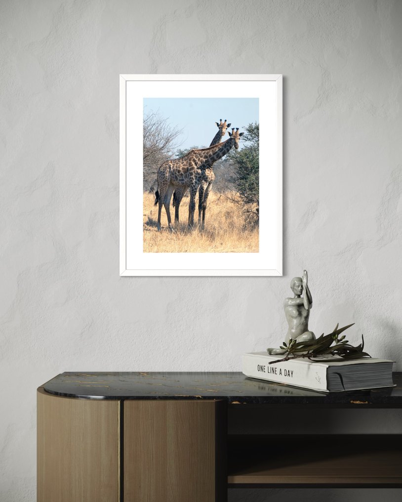 Fabio Accorrà - The split giraffe #4.3