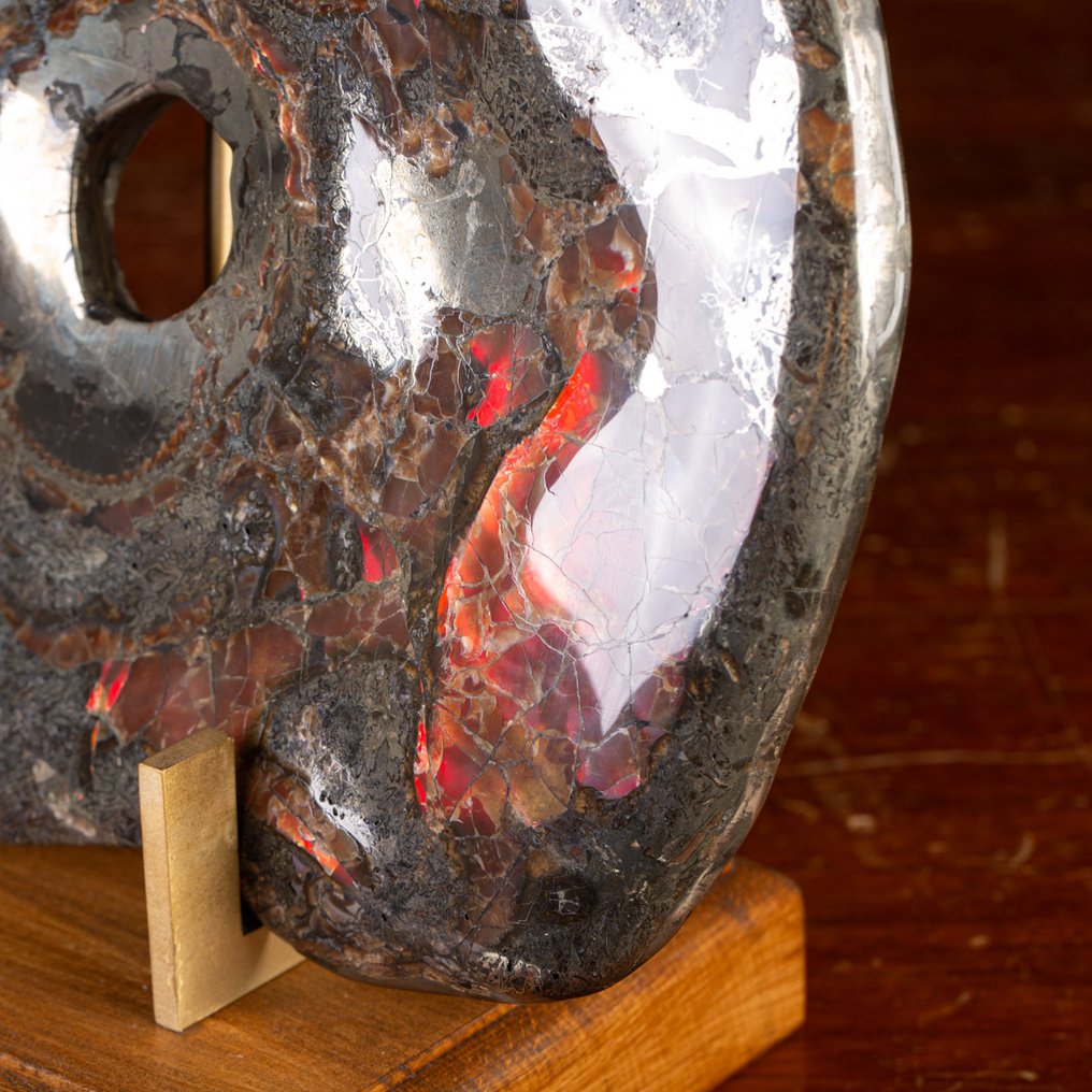 Vörös Opál - Pyritizált fosszilizált ammonit - Csodálatos példány - - Fosszilis töredék Tengeri kagyló - - Craspedodiscus Discofalcatus - #2.1