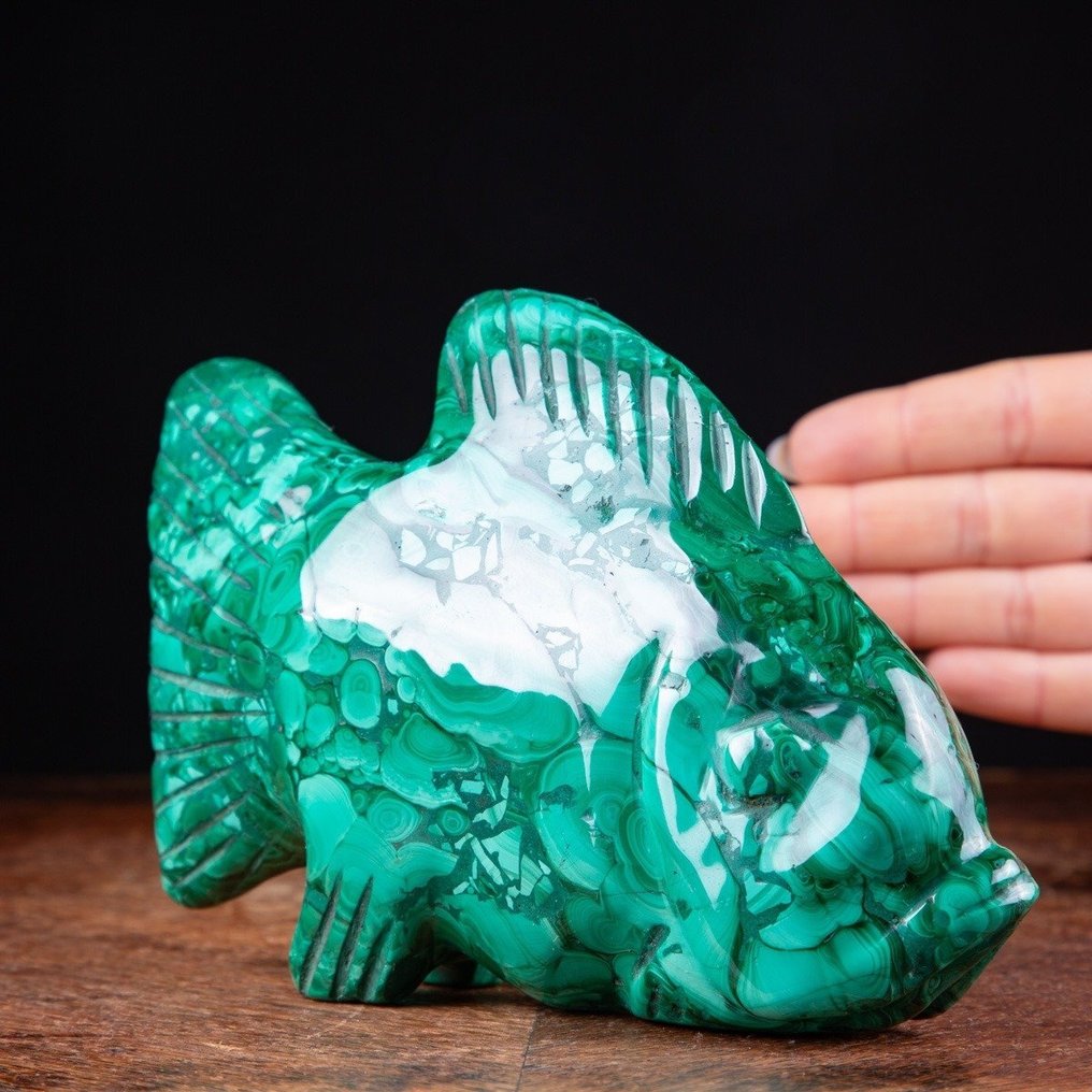 优质孔雀石鱼雕刻 - 高度: 116 mm - 宽度: 188 mm- 1197 g #2.1