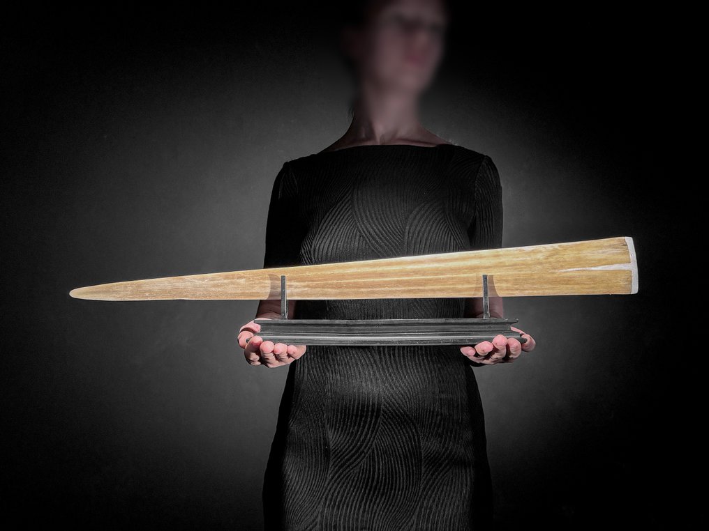 無底價 - 大型雕刻劍魚講台 - 海洋主題 - 喙 - Xiphias Gladius - 13 cm - 72 cm - 6 cm- 非《瀕臨絕種野生動植物國際貿易公約》物種 -  (1) #4.3