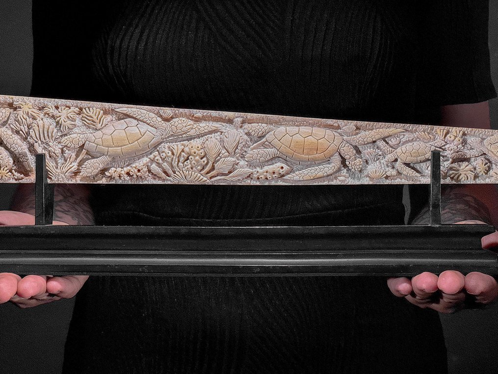 無底價 - 大型雕刻劍魚講台 - 海洋主題 - 喙 - Xiphias Gladius - 13 cm - 72 cm - 6 cm- 非《瀕臨絕種野生動植物國際貿易公約》物種 -  (1) #2.1