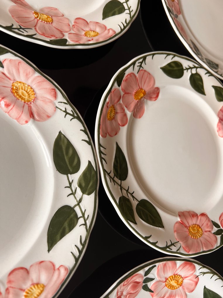 德国唯宝 - 盘子 (6) - wild-Rose - 瓷 #2.1