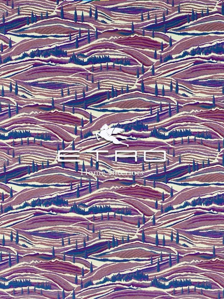 ETRO Home - New Collection 2025 -New set of four - Cushion #2.1