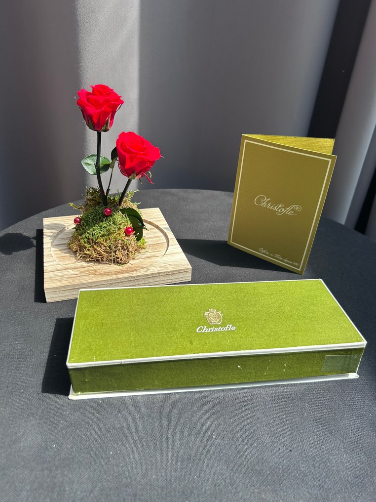 Christofle - Knife rest (6) - Marie-Antoinette - Silverplated #1.0