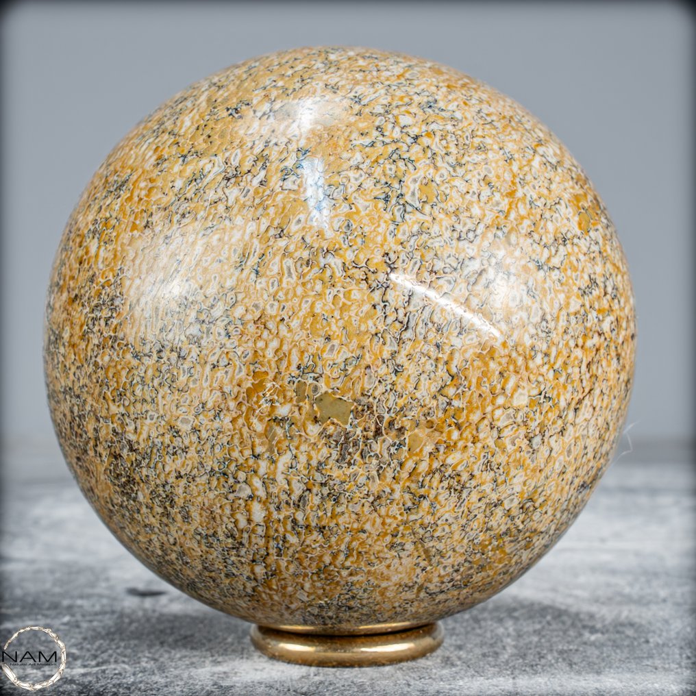 Very Rare Natural Petrified Atlasaurus Dinosaur Bone Sphere, Top Quality- 786.68 g #1.0