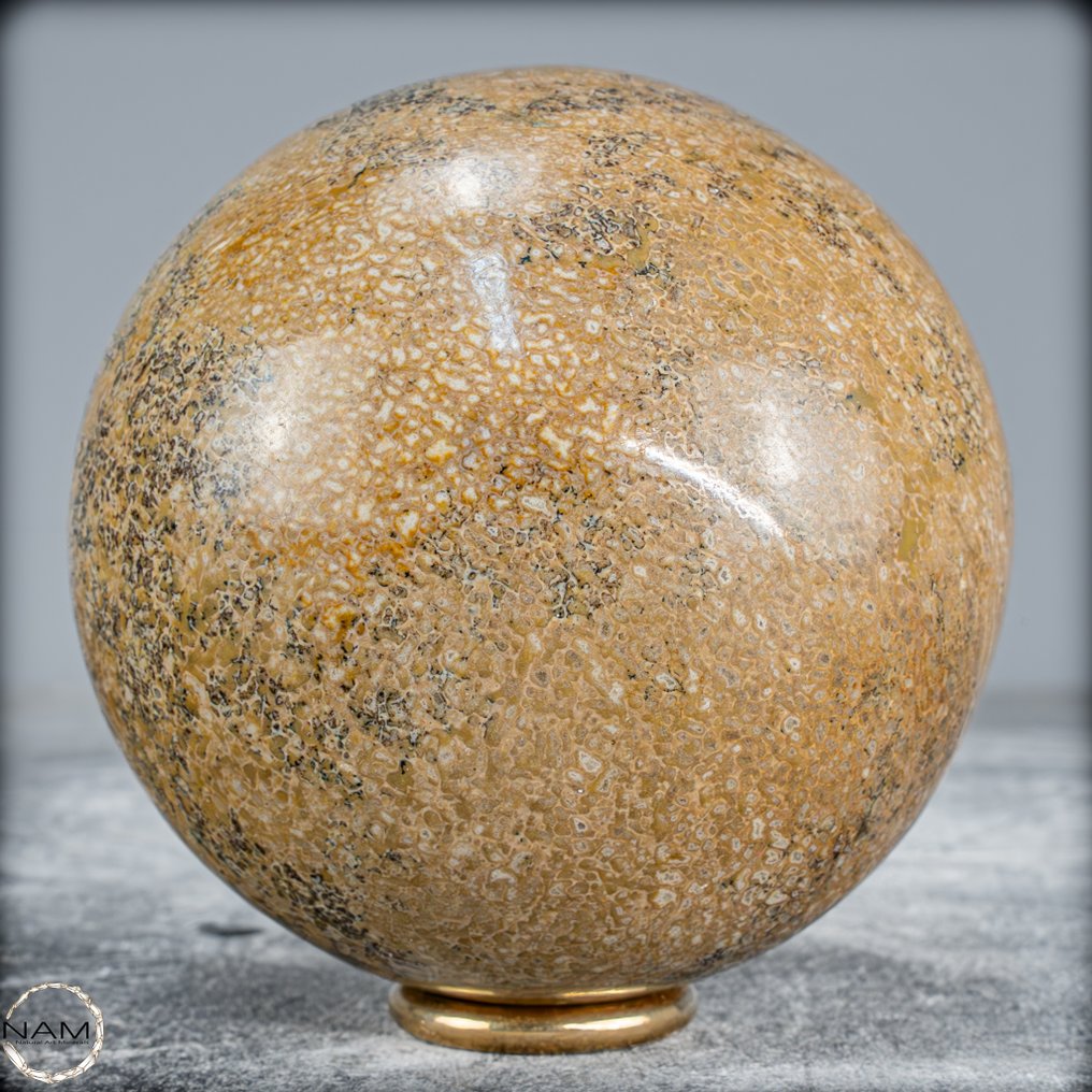 Very Rare Natural Petrified Atlasaurus Dinosaur Bone Sphere, Top Quality- 786.68 g #1.0