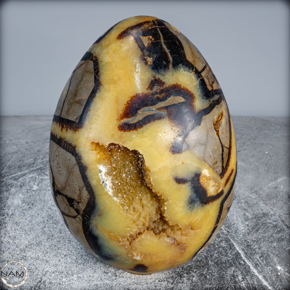 非常装饰性的天然Septarian 鸡蛋- 3783.24 g #2.1