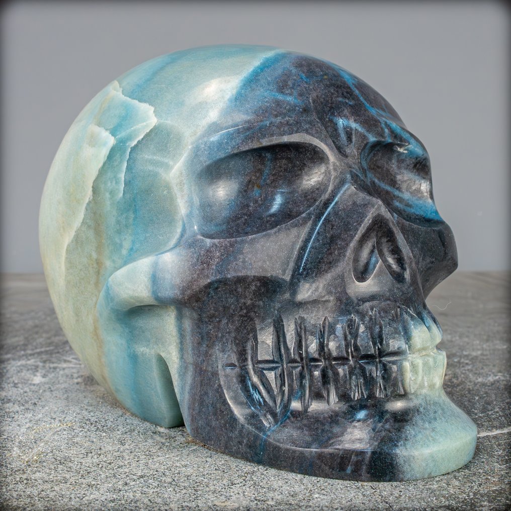 ΝΕΑ ΕΥΡΕΣΗ! Όμορφο AAA++ Trolleit Κρανίο, Βραζιλία- 3659.19 g #2.1