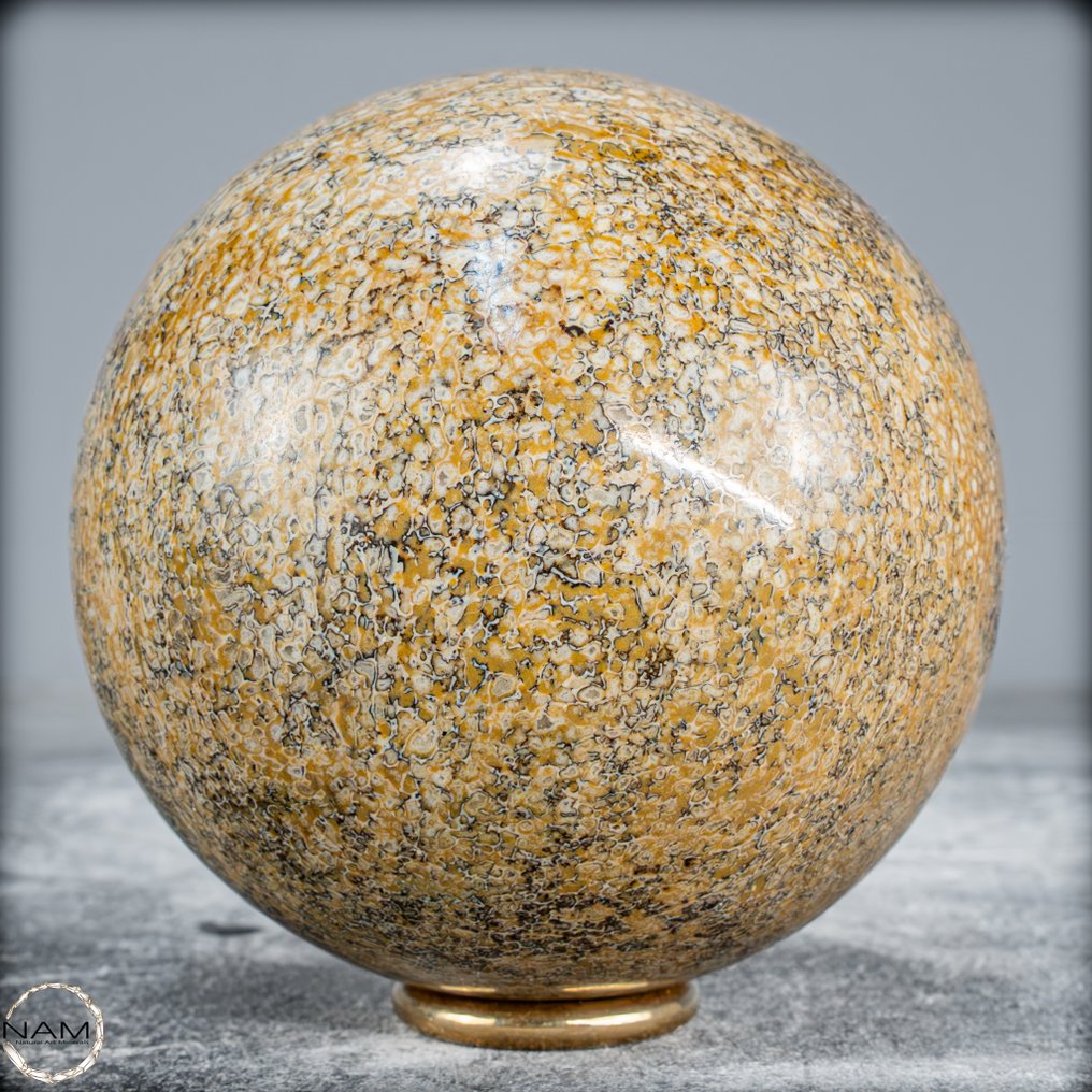 Very Rare Natural Petrified Atlasaurus Dinosaur Bone Sphere, Top Quality- 786.68 g #3.2