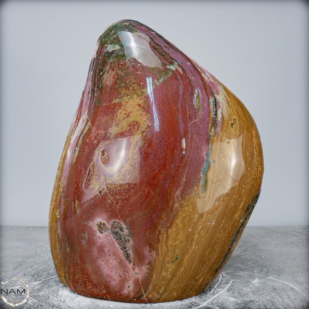 Μεγάλο φυσικό πολύ καλλιτεχνικό Ωκεανός Τζάσπερ Ελεύθερη μορφή- 27325.22 g #2.1