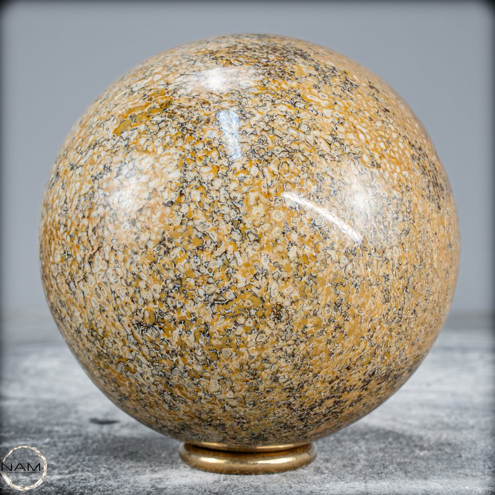 Very Rare Natural Petrified Atlasaurus Dinosaur Bone Sphere, Top Quality- 786.68 g #4.3