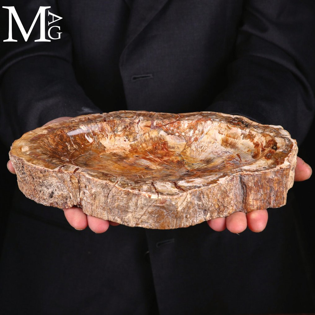 Handgefertigter kinetischer Holzauffangbehälter – Eine zeitlose Verschmelzung von Funktionalität und - Höhe: 271 mm - Breite: 157 mm- 2471 g #1.0