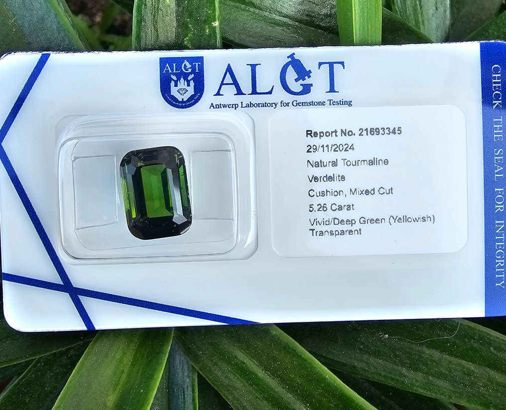 Grøn, Gul Turmalin - 5.26 ct - Antwerp Laboratory for Gemstone Testing (ALGT) - Topkvalitet #1.0