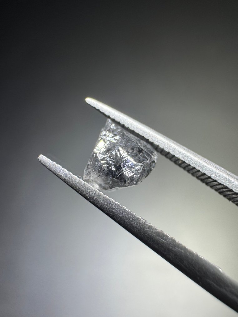 Set of 6 salt and pepper rough diamonds, 3.08 carats. No reserve price! Rough- 0,62 g - (6) #4.3