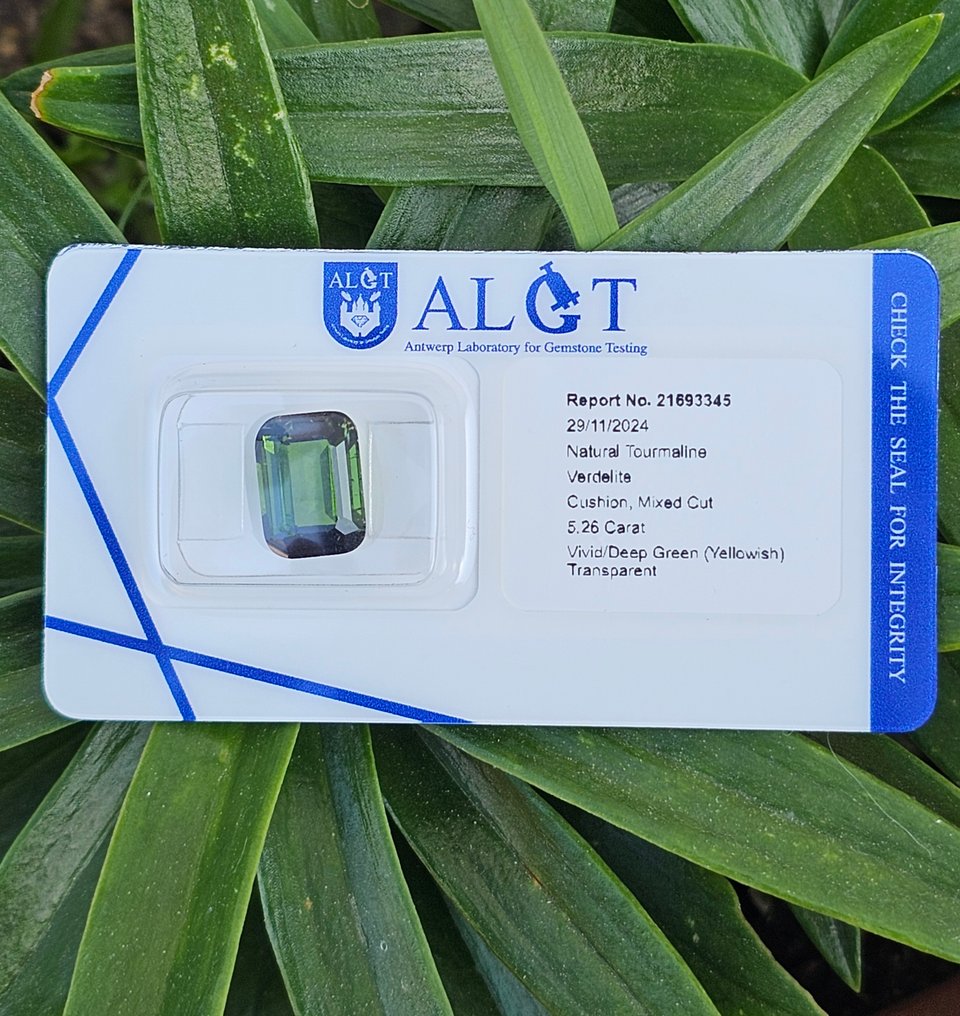 Grøn, Gul Turmalin - 5.26 ct - Antwerp Laboratory for Gemstone Testing (ALGT) - Topkvalitet #4.3
