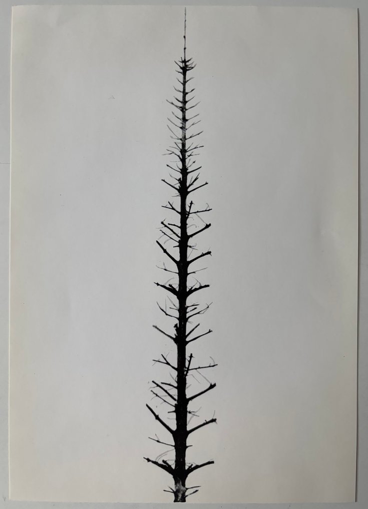 Zbigniew Gostomski (1932 - 2017) - ohne Titel #1.0