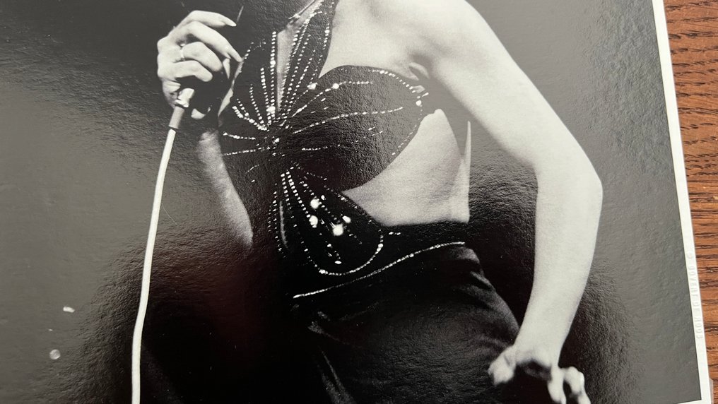 Govert de Roos - Tina Turner #2.1