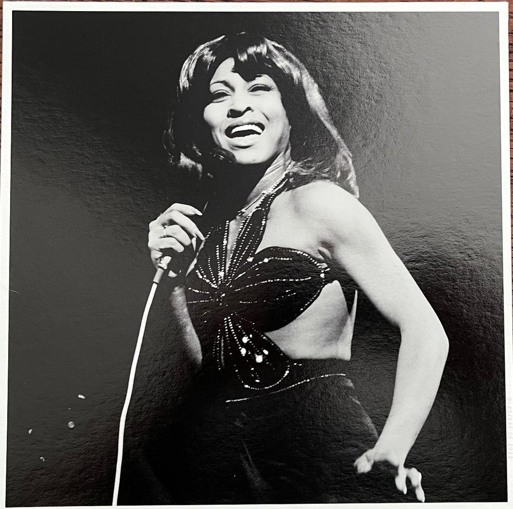 Govert de Roos - Tina Turner #1.0