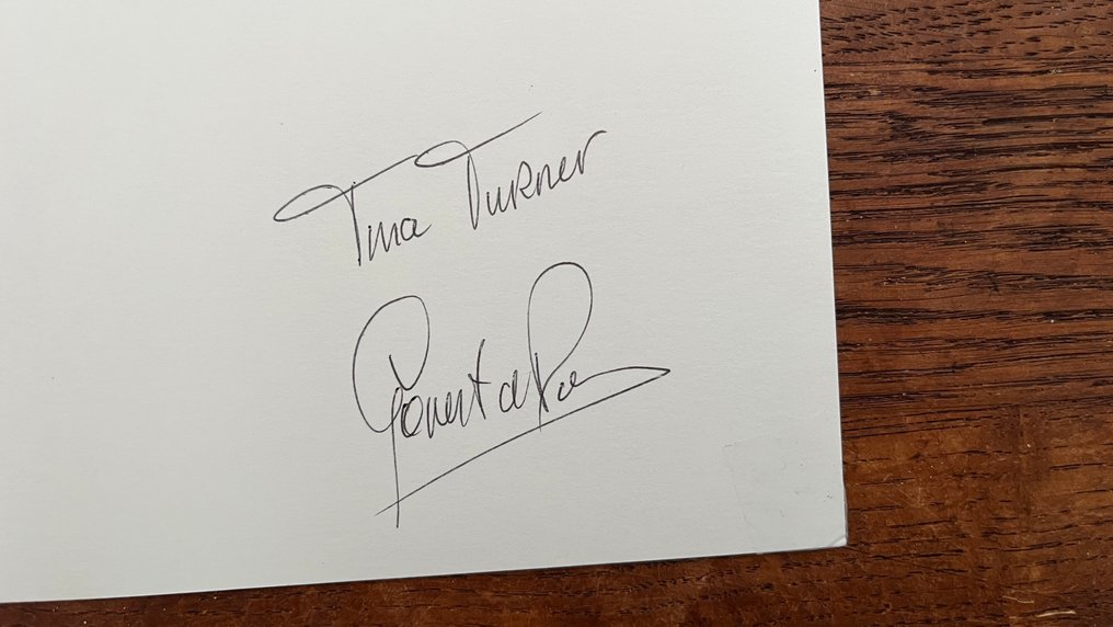 Govert de Roos - Tina Turner #3.2