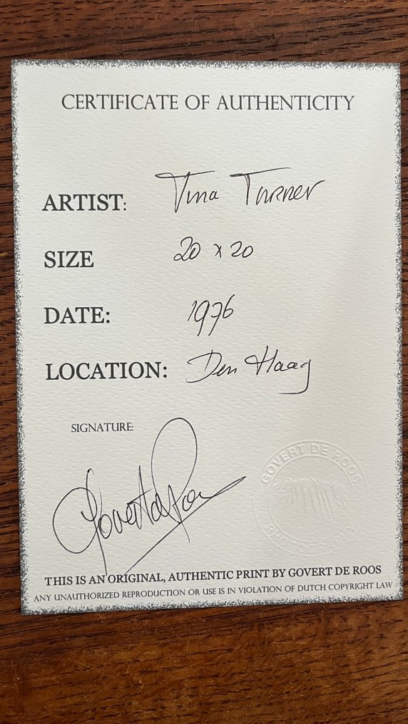 Govert de Roos - Tina Turner #4.3