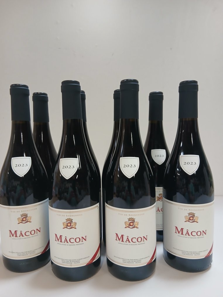 2023 Rochebin bourgogne - Macon - 8 Bottiglie (0,75 L) #1.0