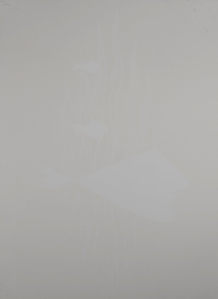 Georges Braque (1882-1963) - Hébé #4.3