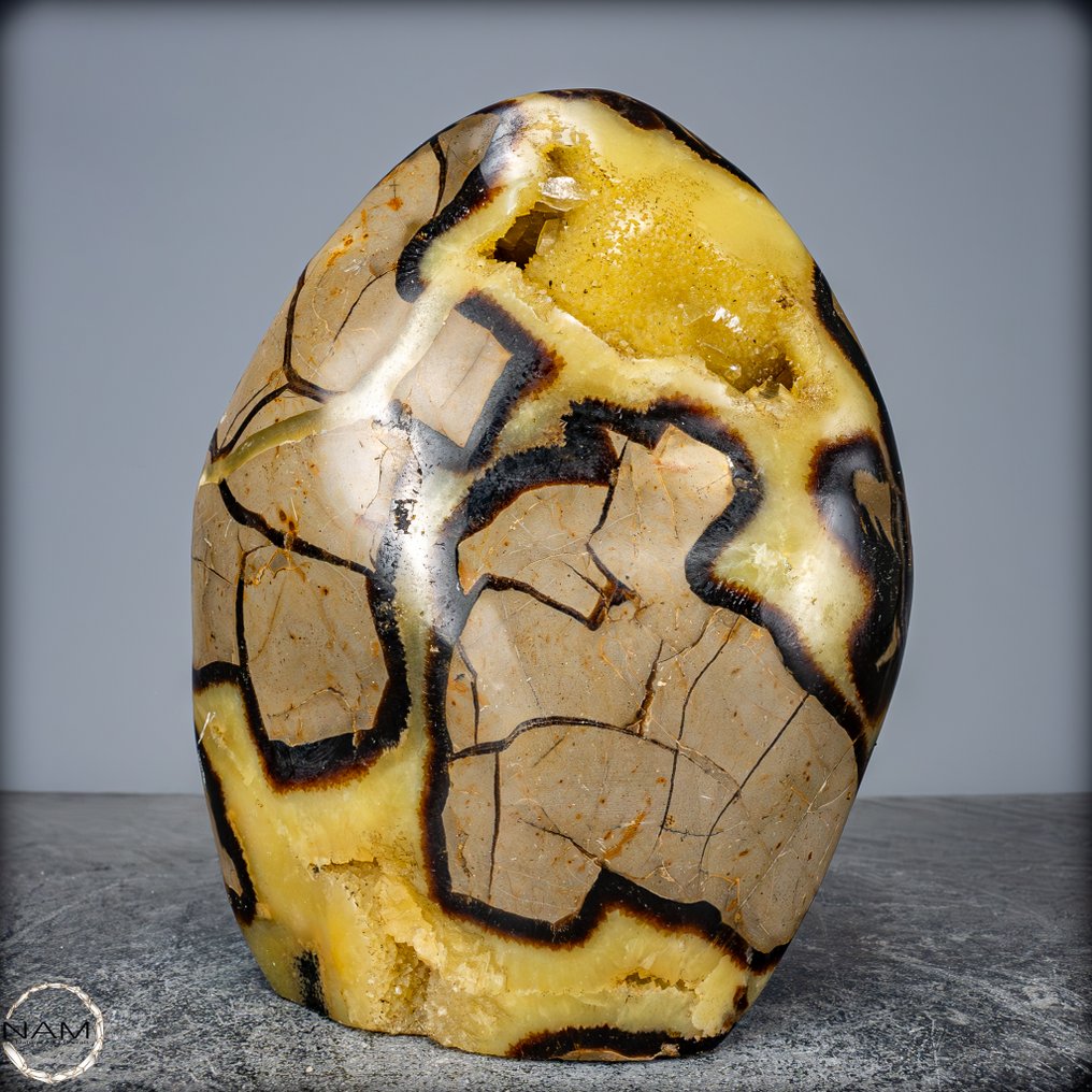非常装饰性的天然Septarian Freeform- 1975.06 g #1.0
