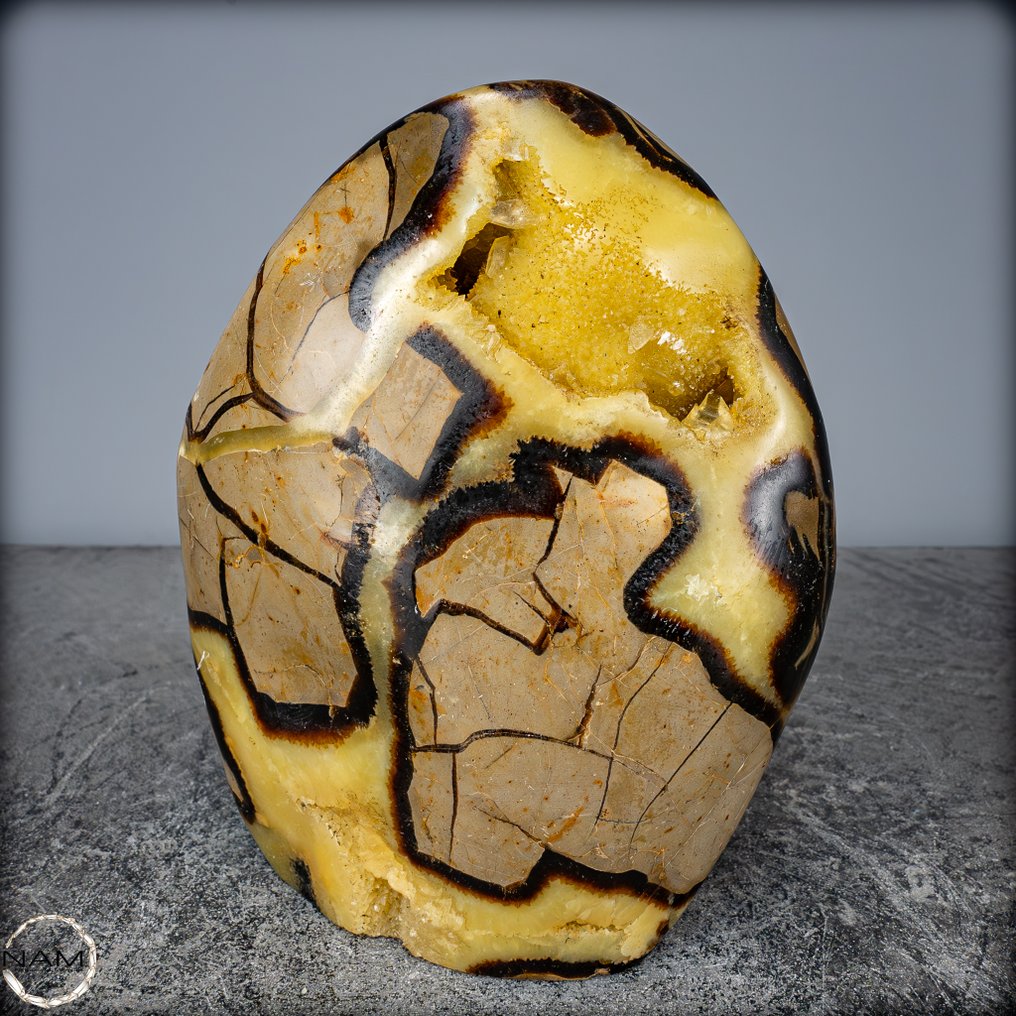 非常装饰性的天然Septarian Freeform- 1975.06 g #3.2