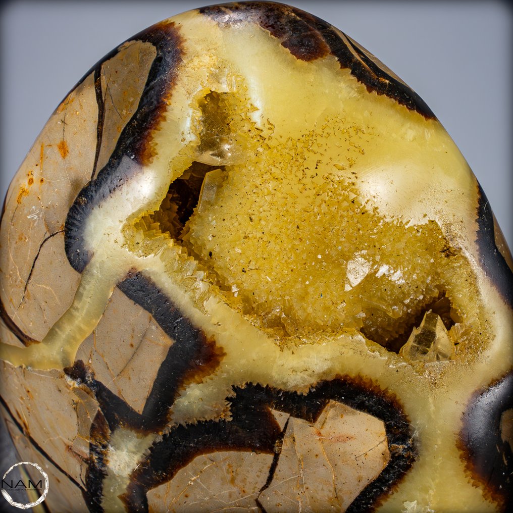 非常装饰性的天然Septarian Freeform- 1975.06 g #4.3