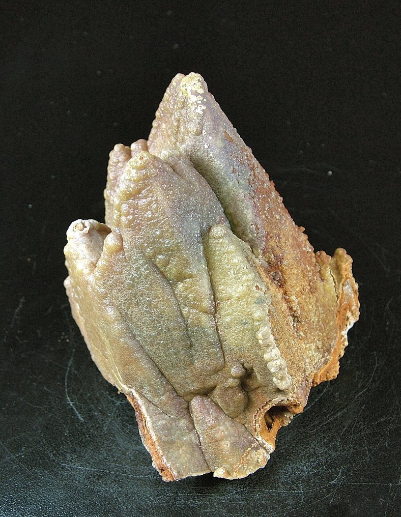 CW1731 Pseudomorfosi de smithsonit pe calcit Cluster de cristal - Înălțime: 108 mm - Lățime: 100 mm- 964 g - (1) #4.3