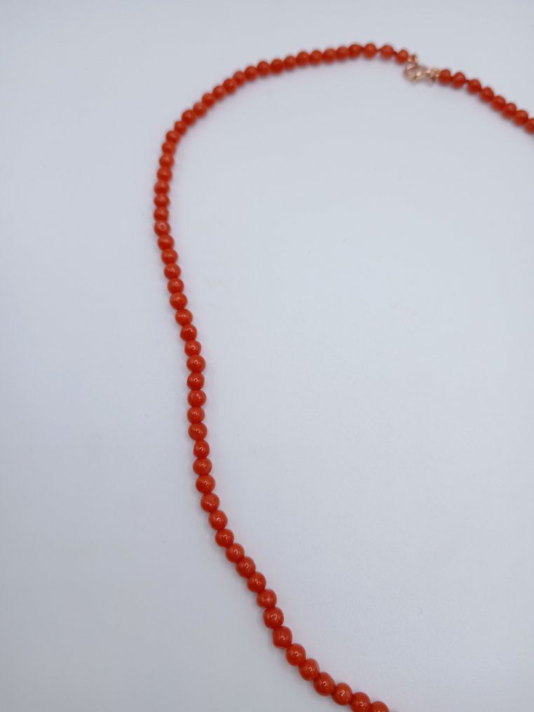 紅珊瑚 珊瑚 - Corallium rubrum  (沒有保留價) #2.1