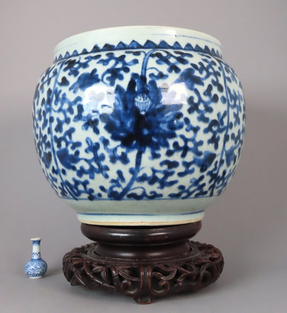 Early Kangxi (ca. 1670-1680) - Jardinière - Ένα μεγάλο ινδικό γλάστρα λωτού - πέταλα λωτού, ρίζες λωτού - Πορσελάνη - Ινδική Λωτός Jardinière #1.0