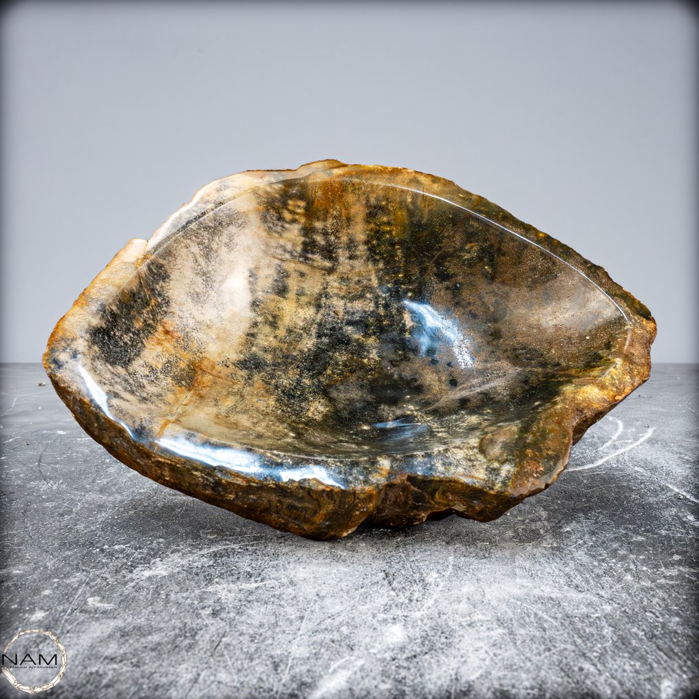 手工抛光的化石木碗 通过石英晶体成长- 1891.17 g #1.0