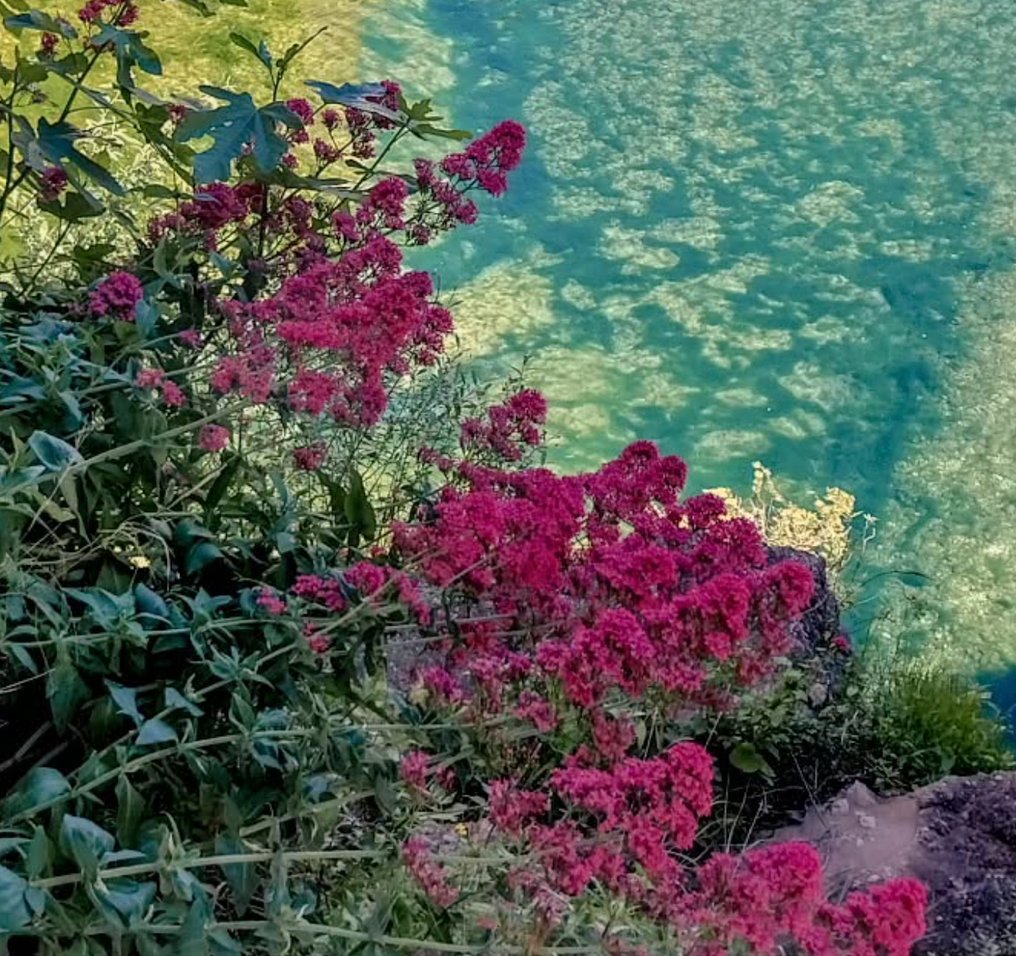 Jaime Oriz - Beceite in colours #3.2