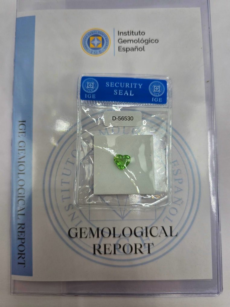 1 pcs Vert Tourmaline Paraiba - 1.65 ct - Instituto Gemólogico Español (IGE) #3.2