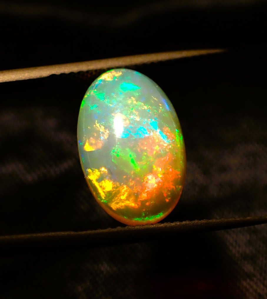 wielokolorowy Opal - 4.77 ct - Antwerp Laboratory for Gemstone Testing (ALGT) - Dobra jakość koloru #2.1