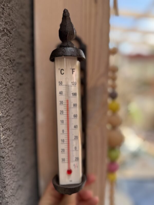 Thermometer - Cast iron #3.2