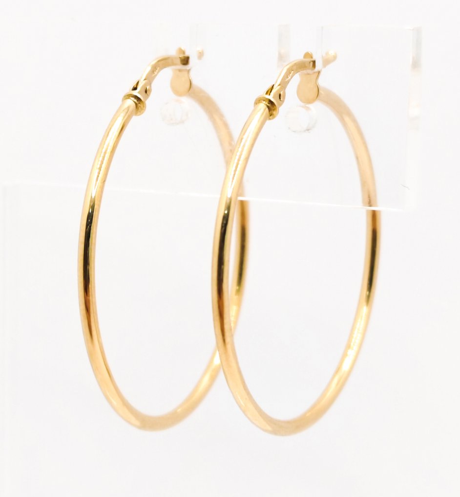 沒有保留價 - 耳環 - 18 克拉 黃金 #1.0