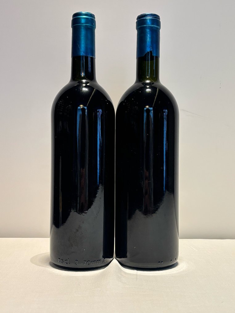 1993 Tenuta San Guido Sassicaia - Bolgheri - 2 Bottles (0.75L) #4.3