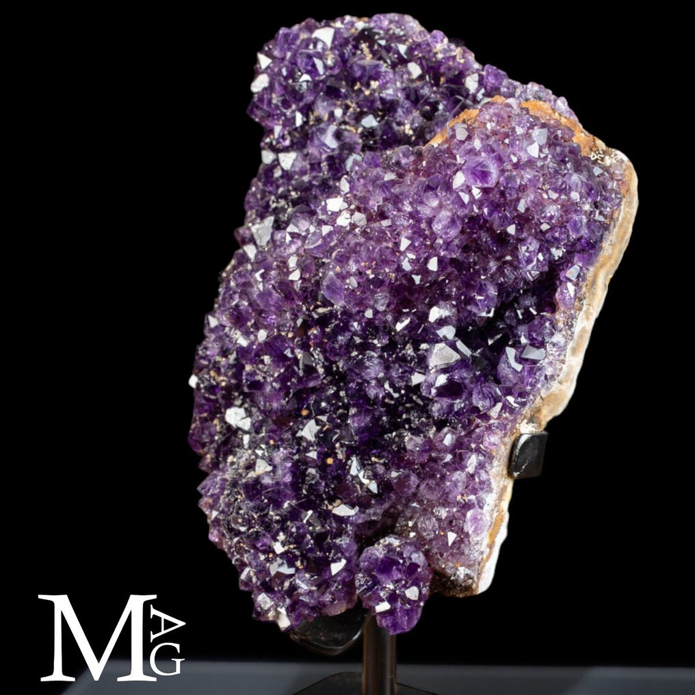 Amethyst Druzy - syvä violetti väri - Miniere di Las Catalanes - Korkeus: 174 mm - Leveys: 134 mm- 1446 g #3.2
