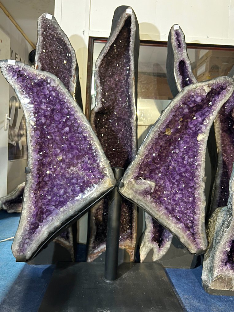 Ametista Anders - Altezza: 126 cm - Larghezza: 123 cm- 187 kg - (1) #3.2