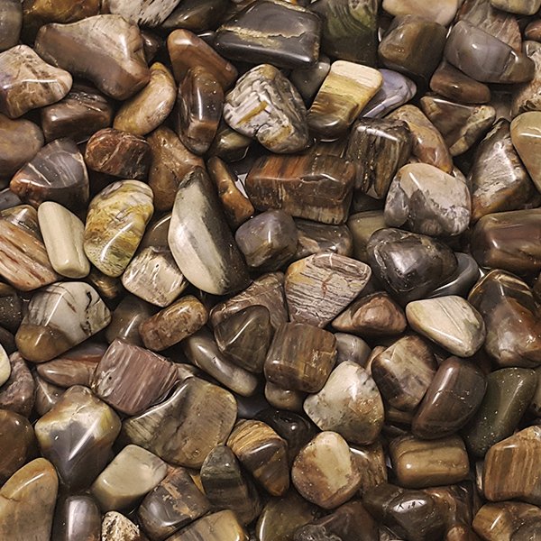 Χωρίς Αποθεματικό - Πετρωμένο Ξύλο - Λειασμένοι Λίθοι AAA λαχεία- 2 kg #1.0