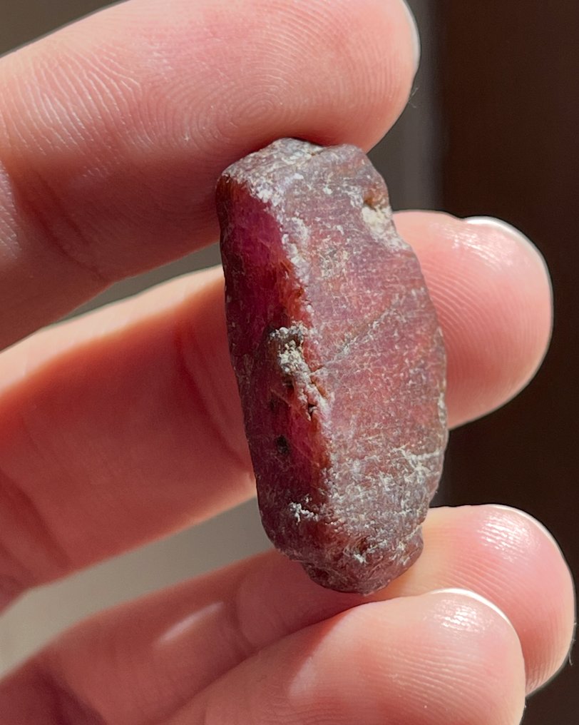 红宝石 粗糙。非凡的水晶!顶级红宝石色。65克拉。百分百天然且特殊的红宝石。 - 高度: 32 mm - 宽度: 18 mm- 13 g #3.2