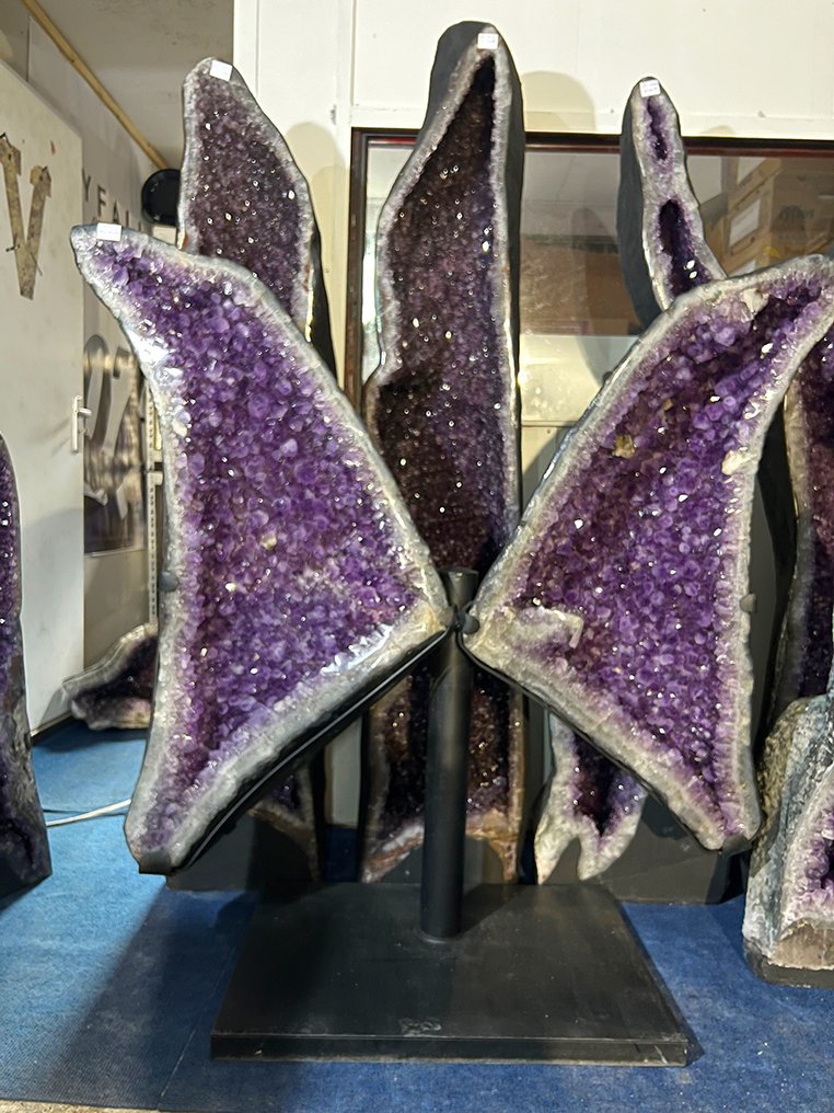 Ametista Anders - Altezza: 126 cm - Larghezza: 123 cm- 187 kg - (1) #1.0