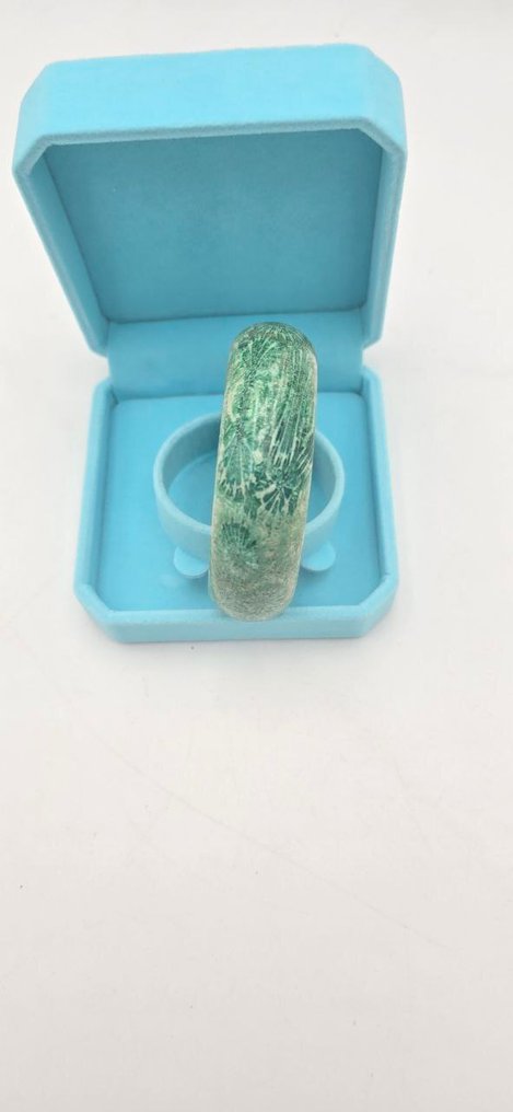 1-piece bracelet of Fossilized Coral - Bracelet #4.3