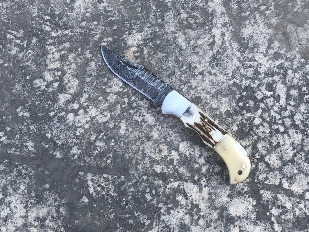 Coltello da cucina - Coltelli artigianali prestigiosi per Skinners e utility, in acciaio forgiato, corno di cervo, osso, - Nord America - (SK24) #2.1